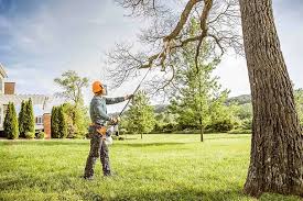 Best Lawn Drainage Solutions  in Adamstown, MD